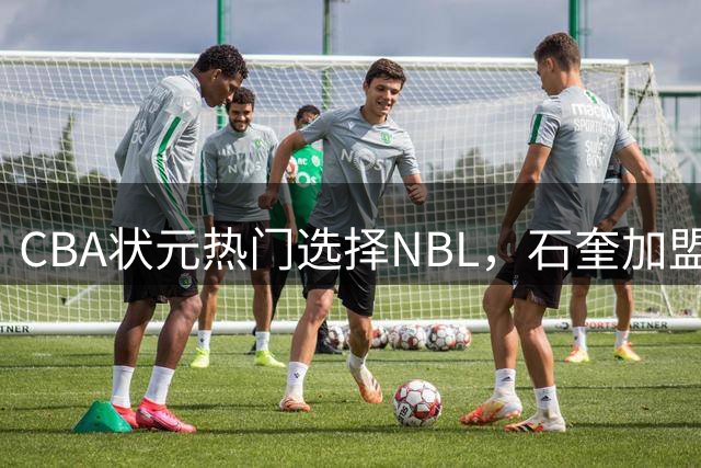 CBA状元热门选择NBL，石奎加盟香港金牛背后的职业考量